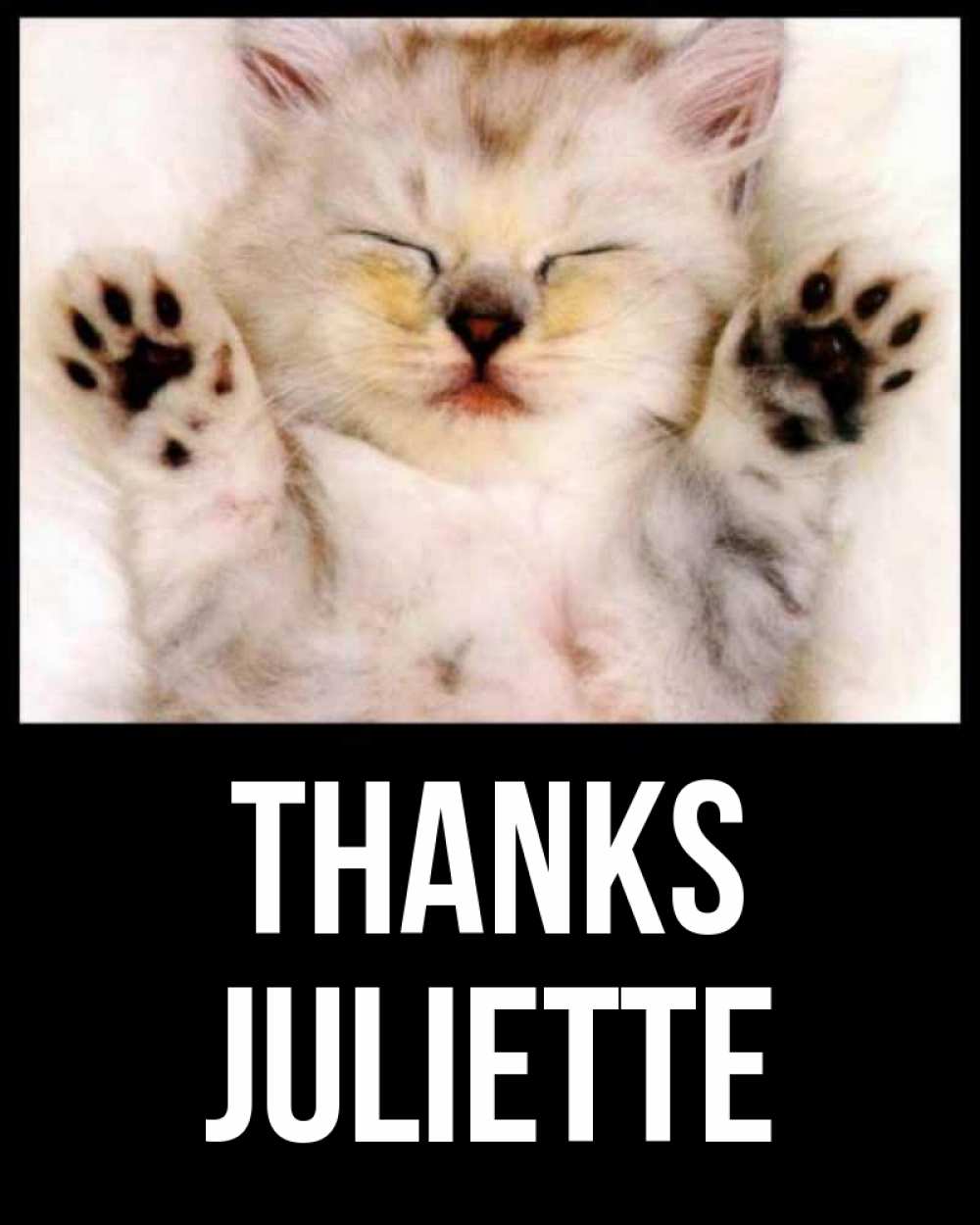 Greetings card с именем, Juliette Thanks маленький котенок Greetings with text for free download 
