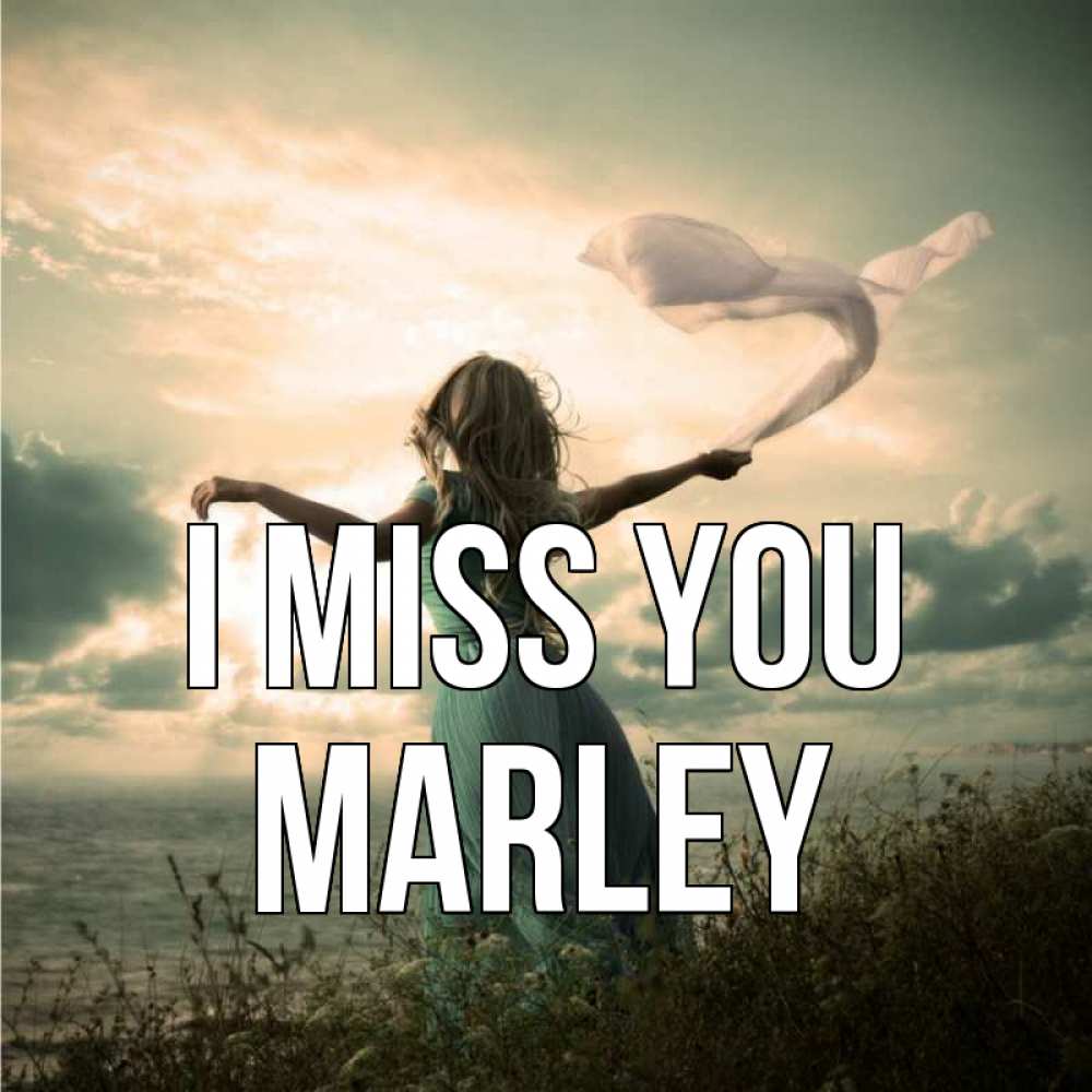 Greetings card с именем, Marley I miss you белый флаг Greetings with text for free download 