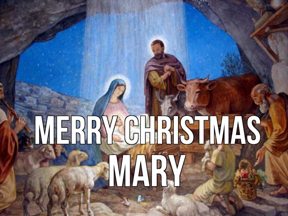 Greetings card с именем, Mary Merry Christmas Хлев с животными, Иисус, рождество Greetings with text for free download 