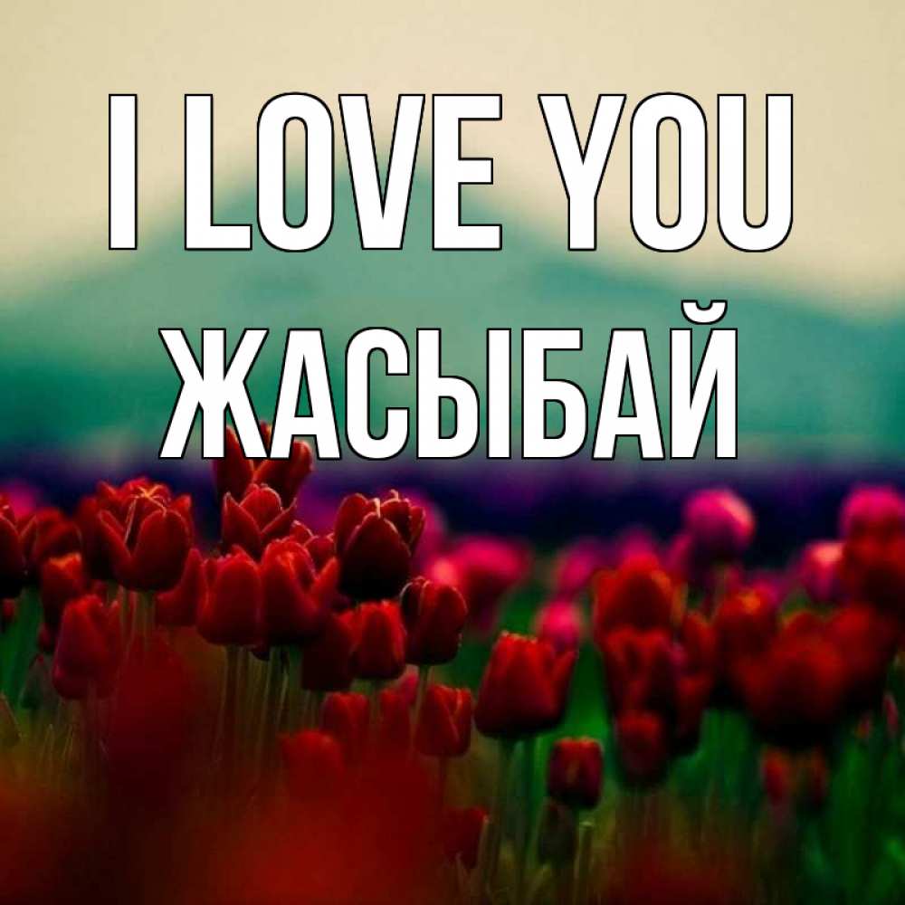 Greetings card с именем, Жасыбай I love you тюльпаны 4 Greetings with text for free download 