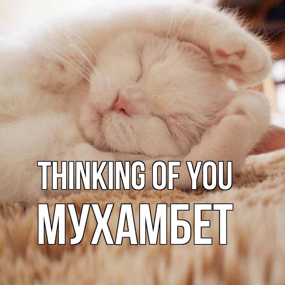Greetings card с именем, МУХАМБЕТ Thinking of you для любимой девушки милота Greetings with text for free download 