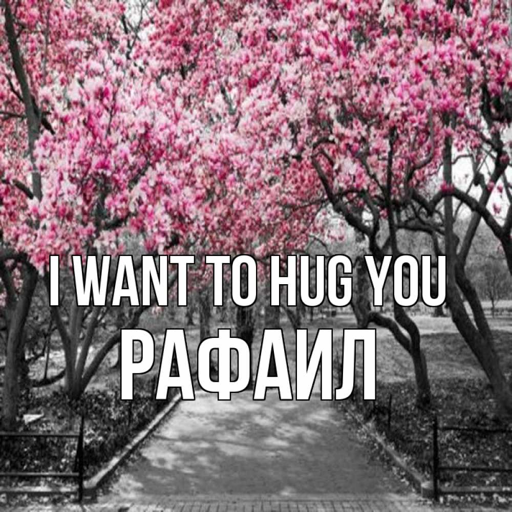 Greetings card с именем, Рафаил I want to hug you обработанное фото Greetings with text for free download 