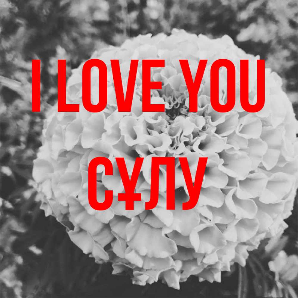 Greetings card с именем, СҰЛУ I love you подпись Greetings with text for free download 