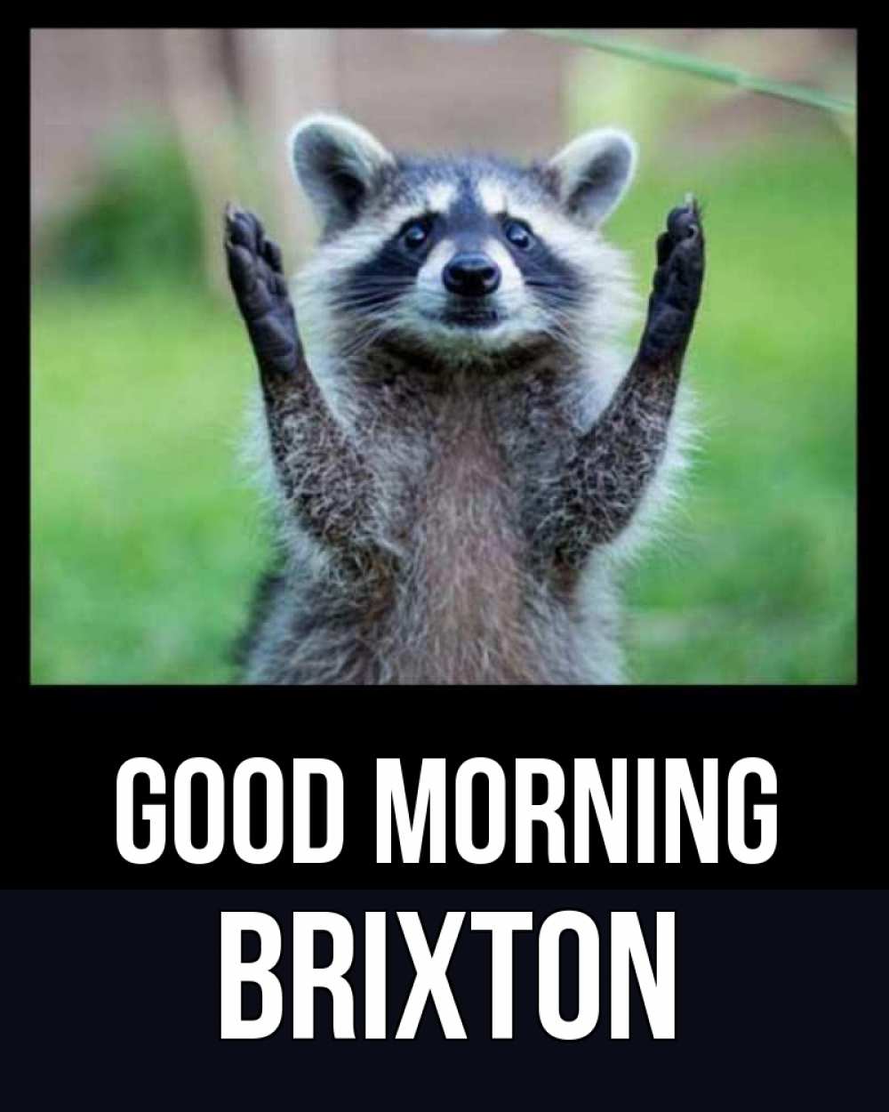 Greetings card с именем, Brixton Good morning хорошее настроение утречком Greetings with text for free download 