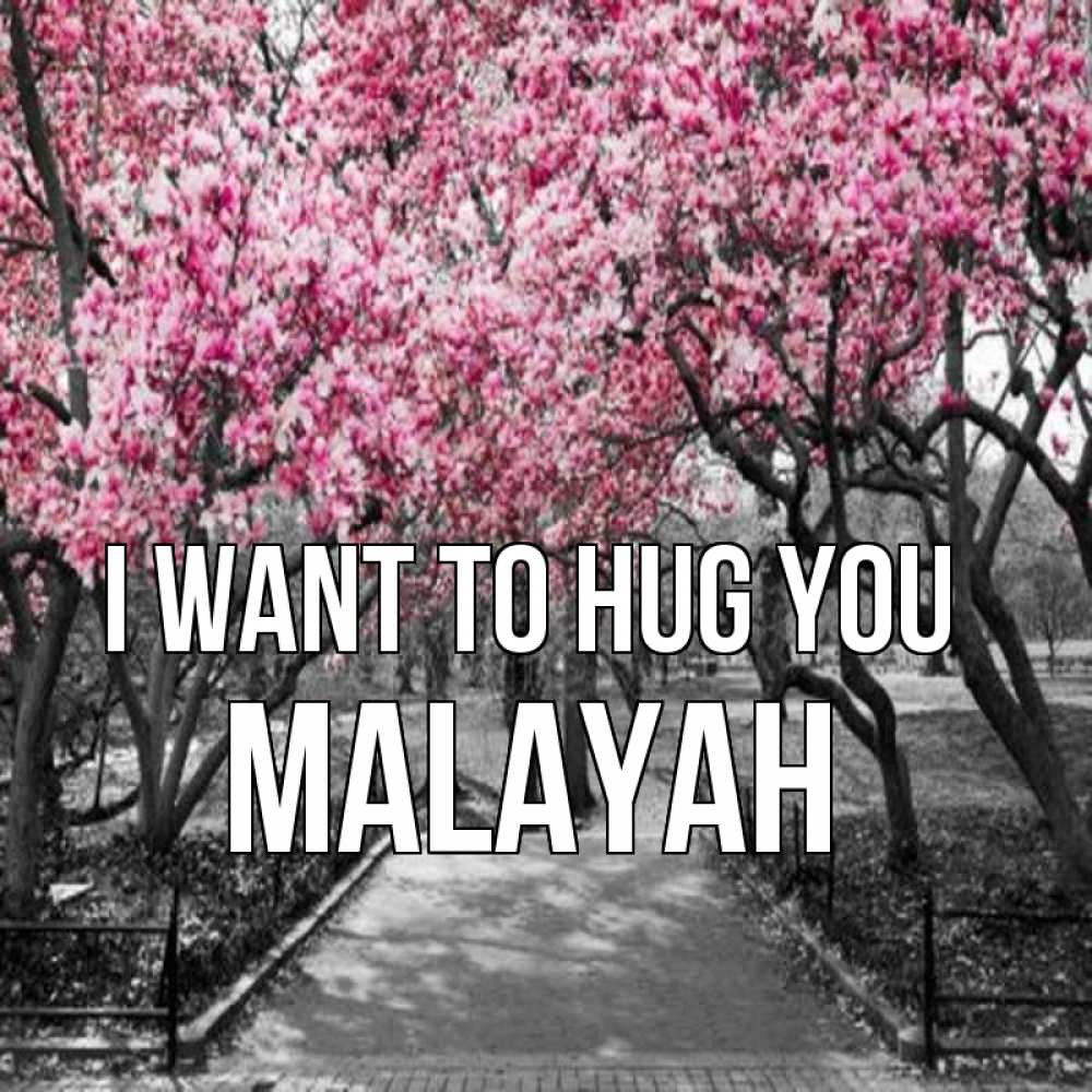 Greetings card с именем, Malayah I want to hug you обработанное фото Greetings with text for free download 