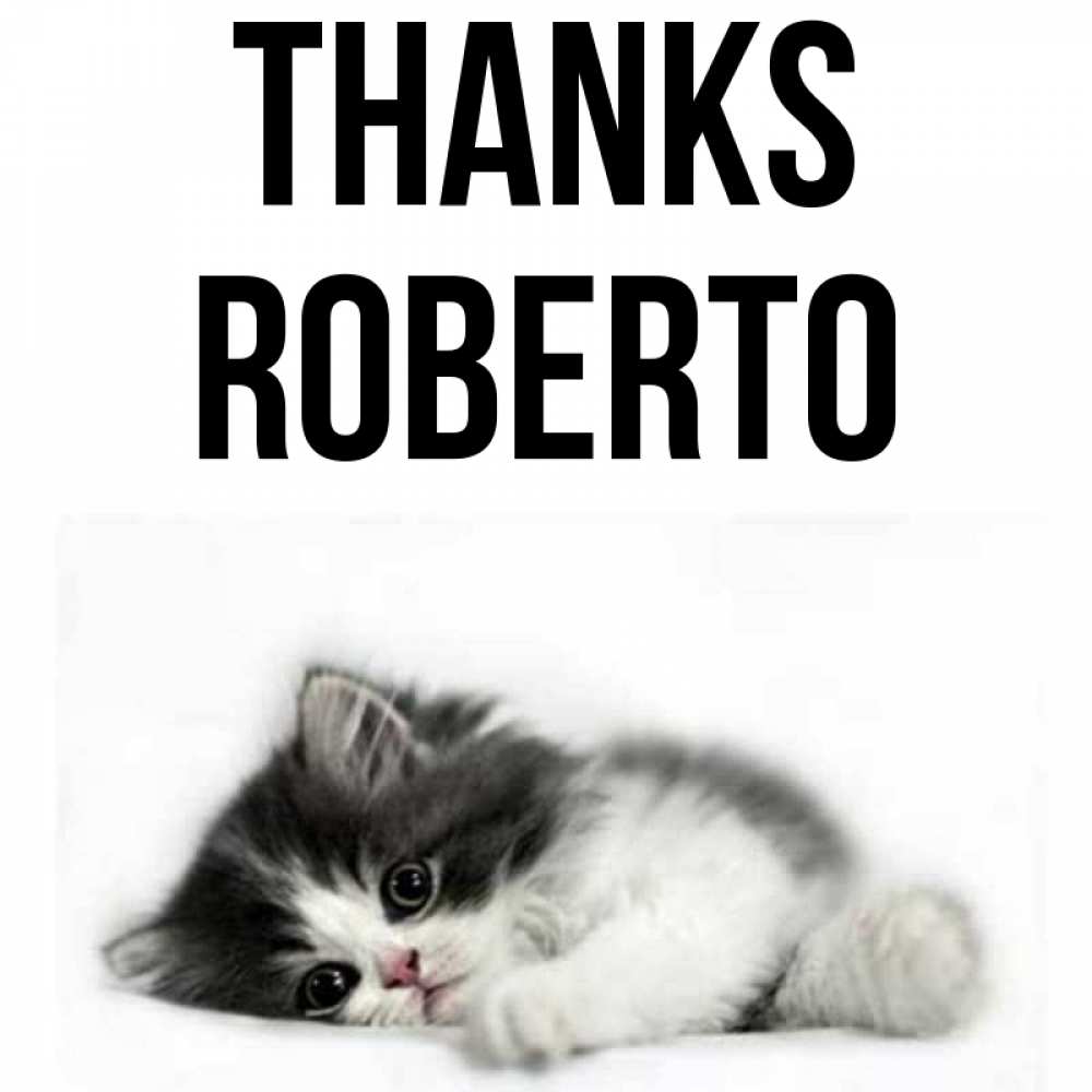 Greetings card с именем, Roberto Thanks черный и белый кот Greetings with text for free download 