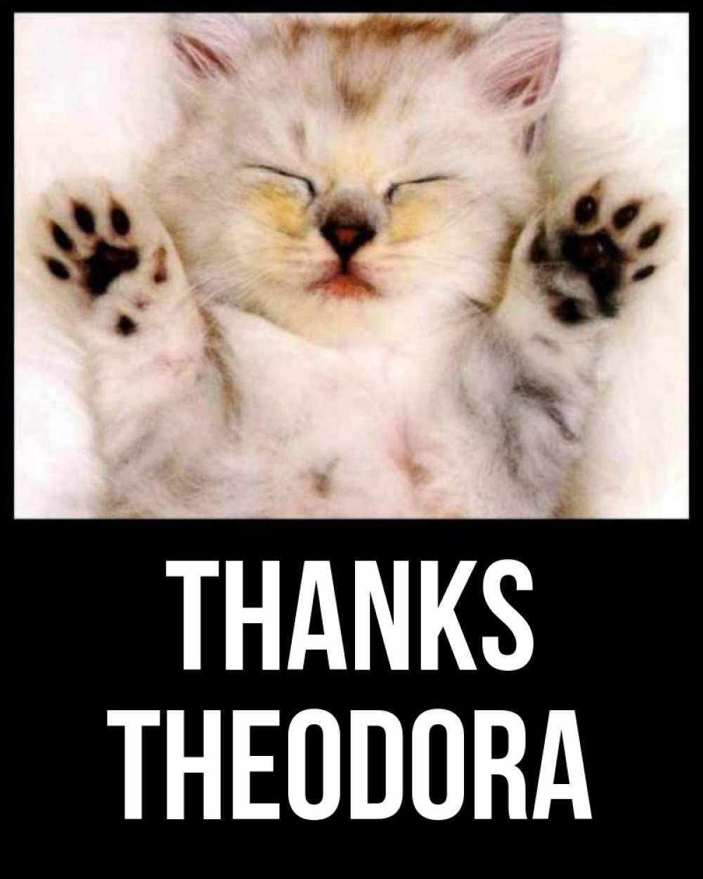 Greetings card с именем, Theodora Thanks маленький котенок Greetings with text for free download 