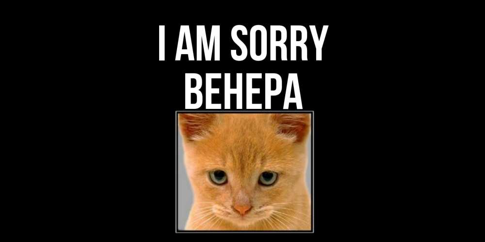 Greetings card с именем, Венера I am sorry рыжий грустный кот просит прощения Greetings with text for free download 