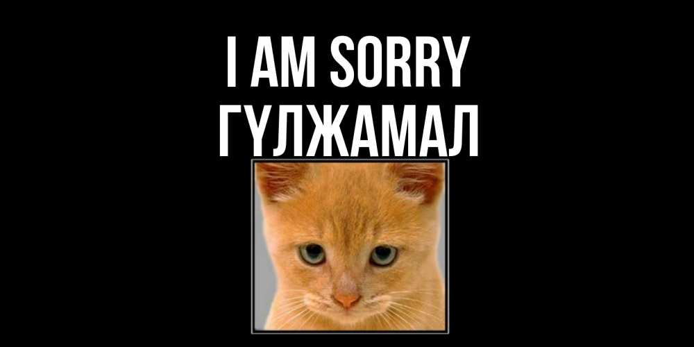 Greetings card с именем, ГҮЛЖАМАЛ I am sorry рыжий грустный кот просит прощения Greetings with text for free download 