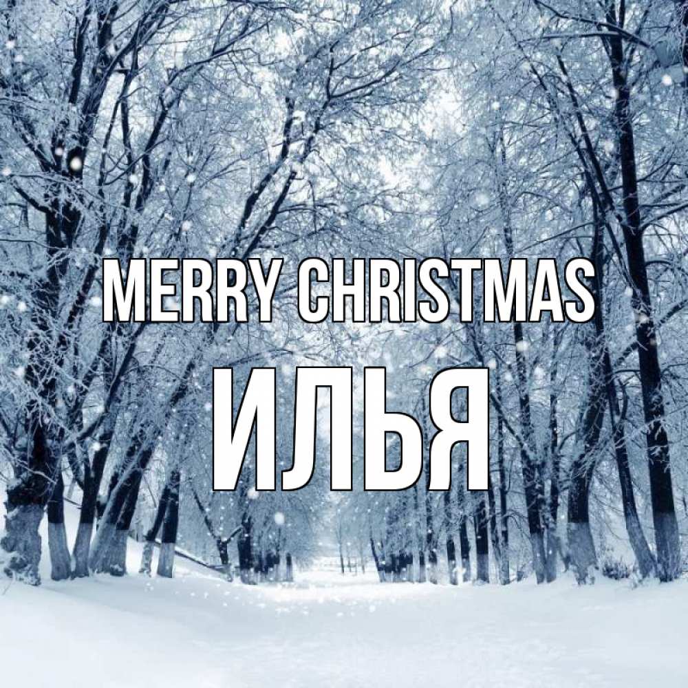 Greetings card с именем, Илья Merry Christmas снег, лес, парк Greetings with text for free download 