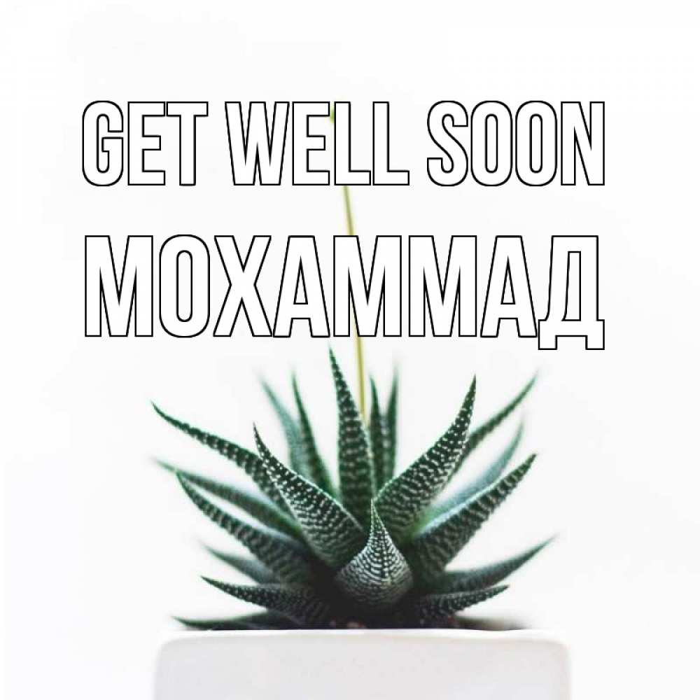 Greetings card с именем, Мохаммад Get well soon короче это непонятная колючка Greetings with text for free download 