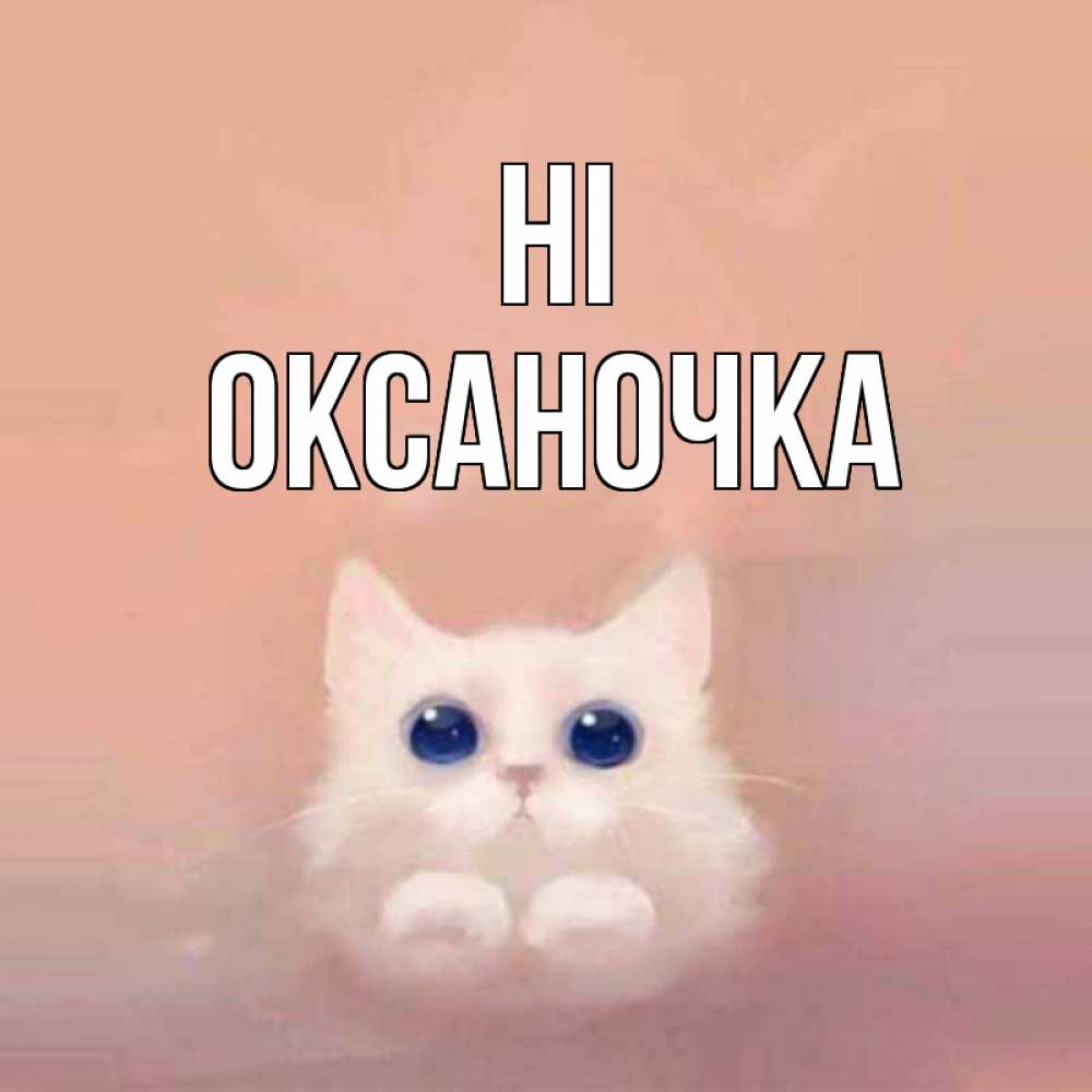 Greetings card с именем, Оксаночка Hi котик белый в полете Greetings with text for free download 