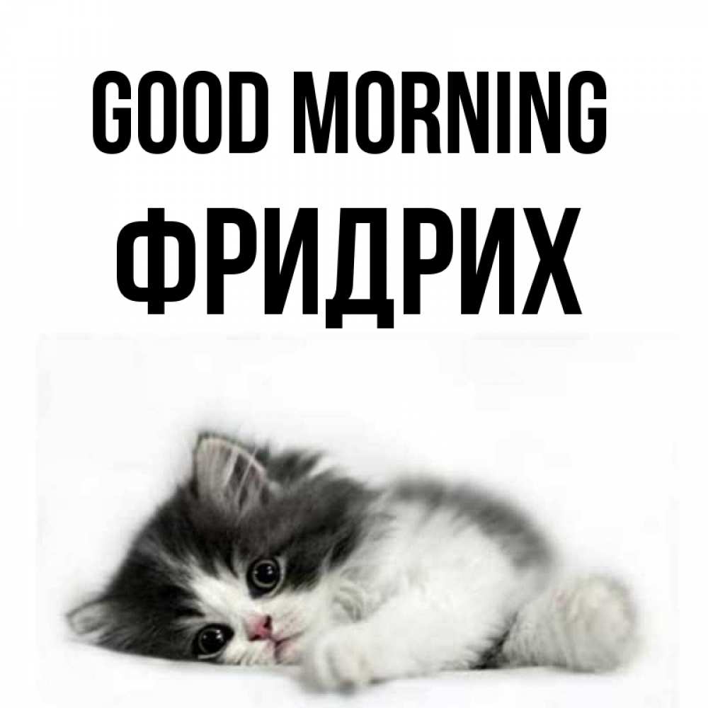 Greetings card с именем, Фридрих Good morning кот лапки Greetings with text for free download 