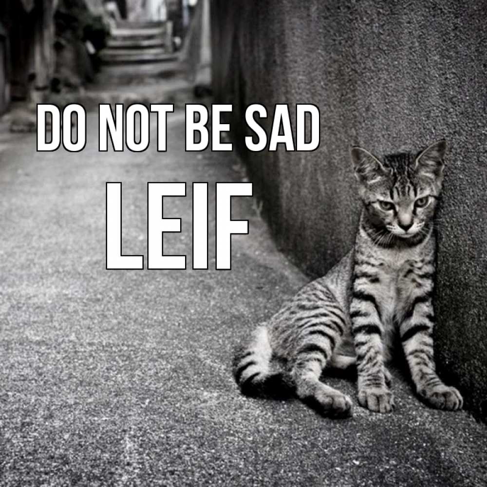 Greetings card с именем, Leif Do not be sad скучающий котик Greetings with text for free download 