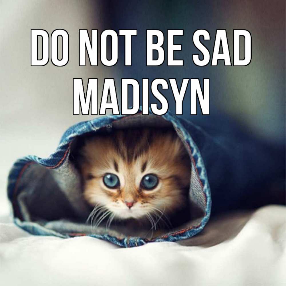 Greetings card с именем, Madisyn Do not be sad кот в одежде Greetings with text for free download 
