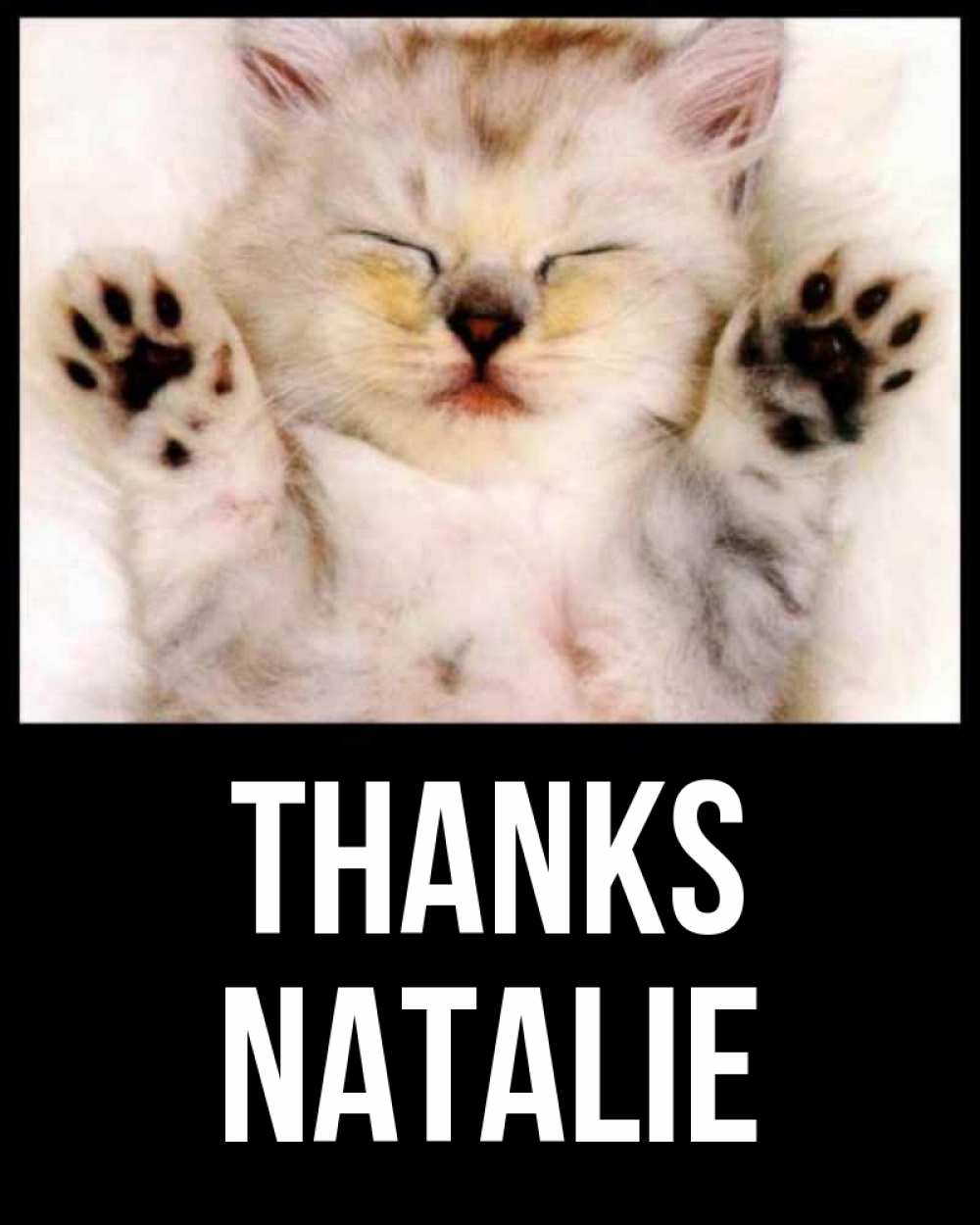 Greetings card с именем, Natalie Thanks маленький котенок Greetings with text for free download 