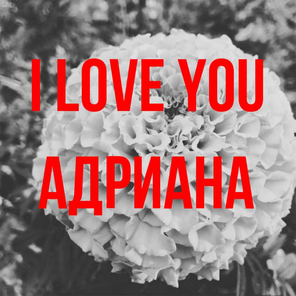 Greetings card с именем, Адриана I love you подпись Greetings with text for free download 