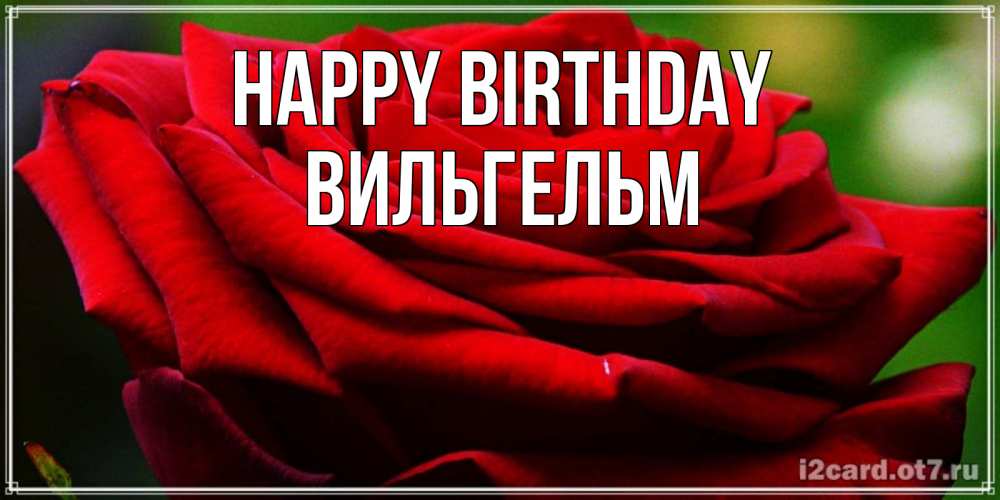 Greetings card с именем, Вильгельм Happy Birthday розочка очень красивая Greetings with text for free download 