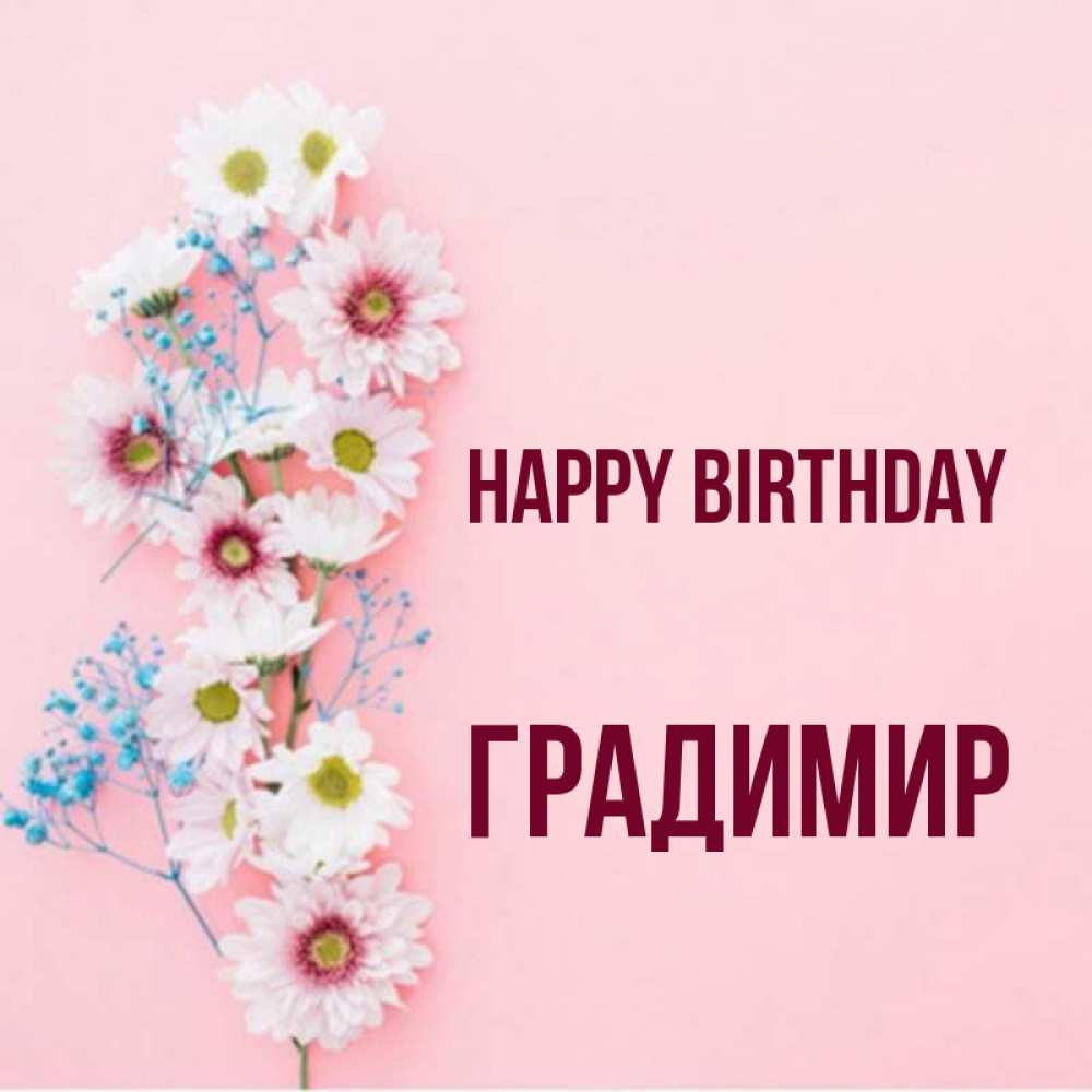 Greetings card с именем, Градимир Happy Birthday Родная моя с днем рождения тебя картинка с цветами белыми и голубыми Greetings with text for free download 