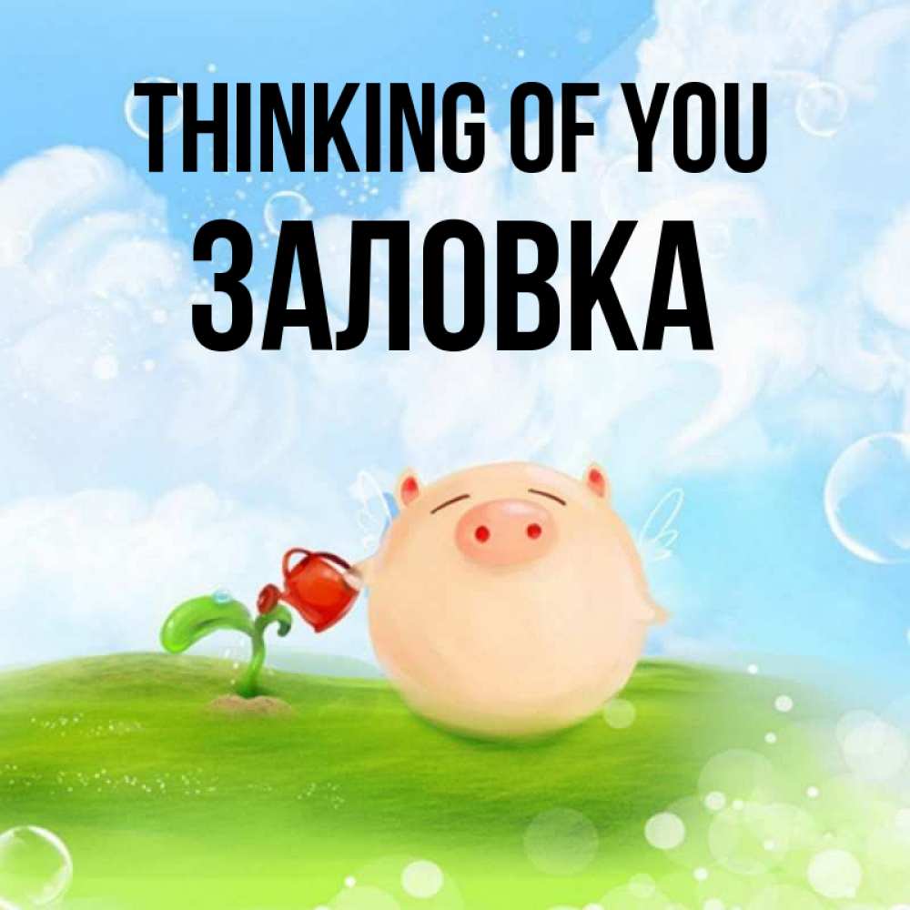 Greetings card с именем, Заловка Thinking of you позитивная свинюшка Greetings with text for free download 