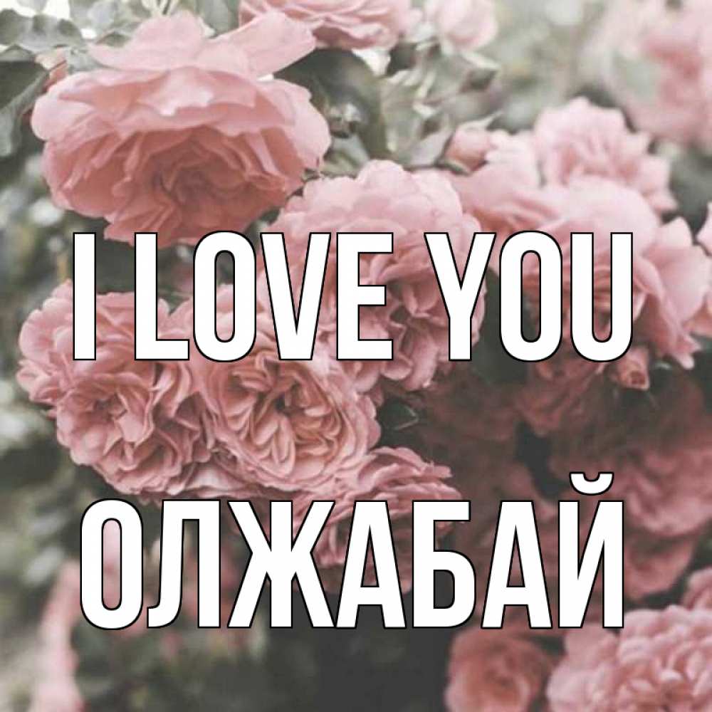 Greetings card с именем, ОЛЖАБАЙ I love you розы 3 Greetings with text for free download 