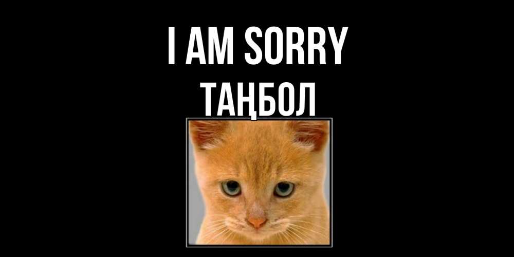 Greetings card с именем, ТАҢБОЛ I am sorry рыжий грустный кот просит прощения Greetings with text for free download 