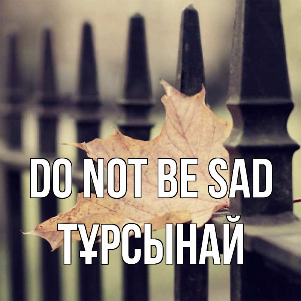 Greetings card с именем, ТҰРСЫНАЙ Do not be sad лист клена Greetings with text for free download 