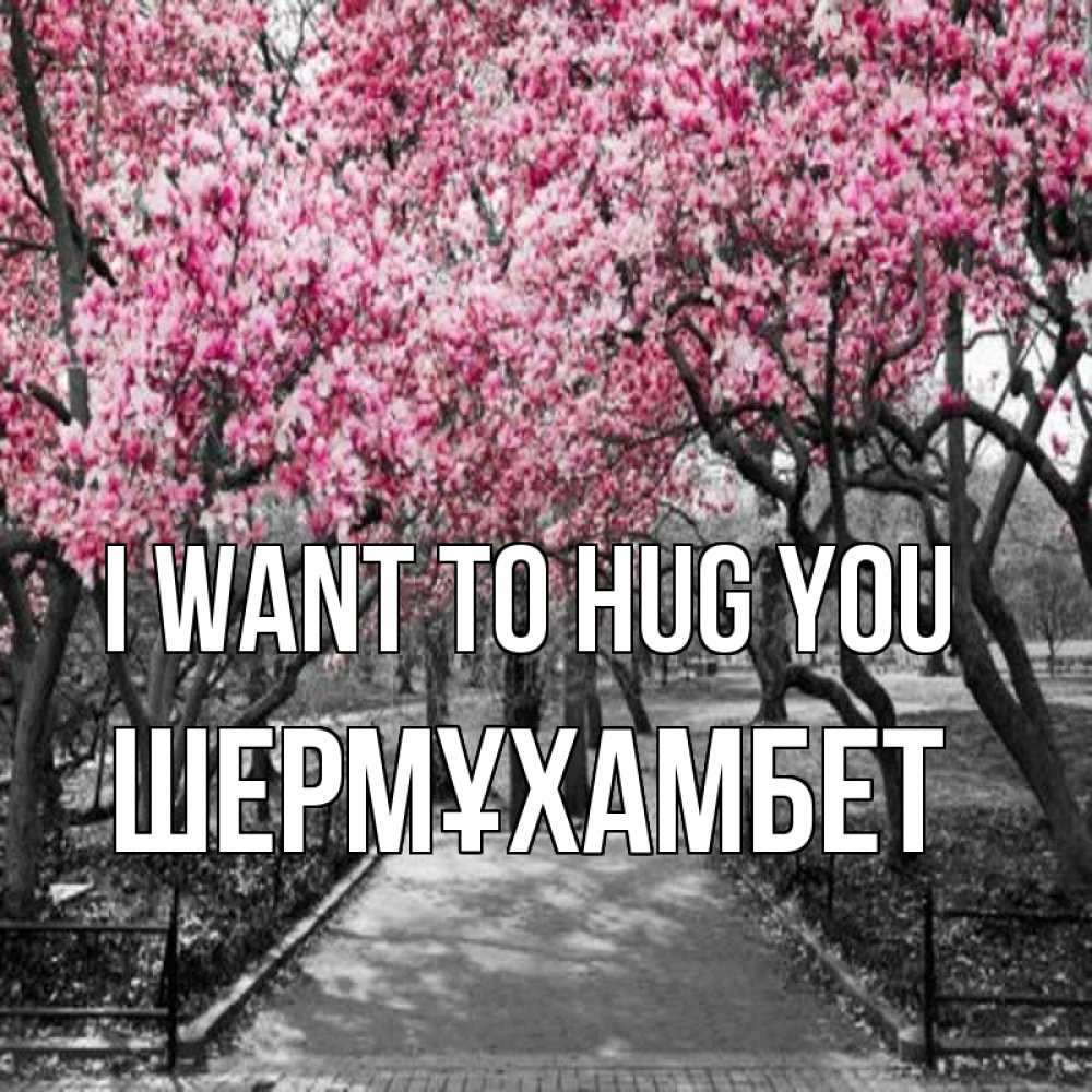 Greetings card с именем, ШЕРМҰХАМБЕТ I want to hug you обработанное фото Greetings with text for free download 