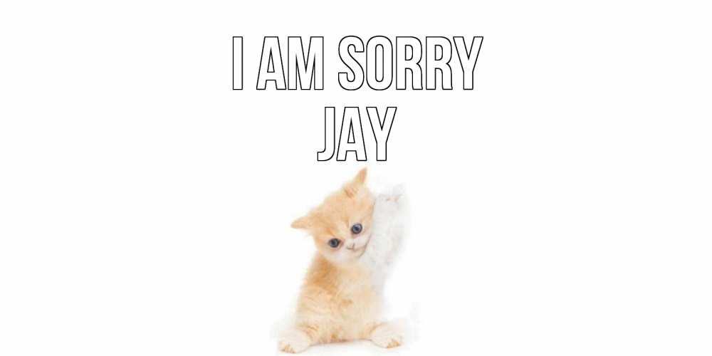 Greetings card с именем, Jay I am sorry кот Greetings with text for free download 