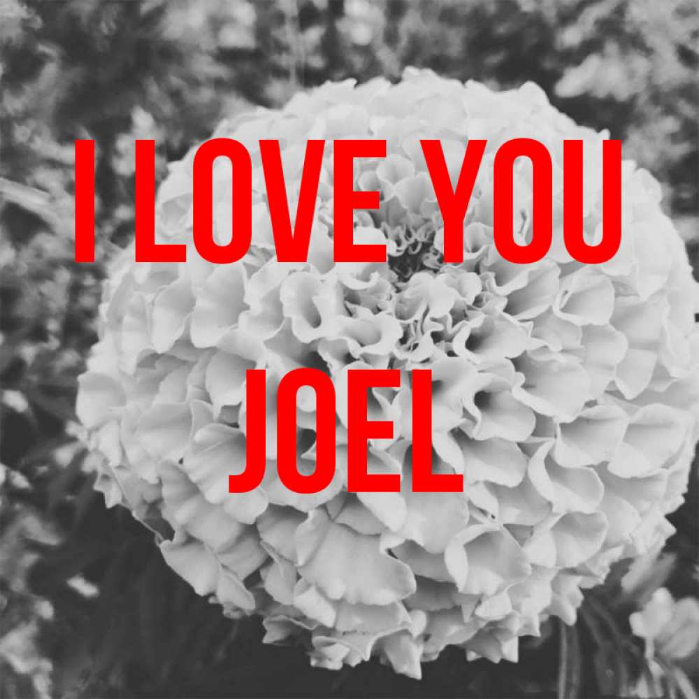 Greetings card с именем, Joel I love you подпись Greetings with text for free download 