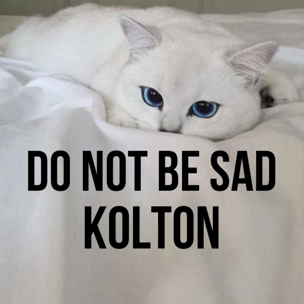Greetings card с именем, Kolton Do not be sad Голубоглазая кошка Greetings with text for free download 