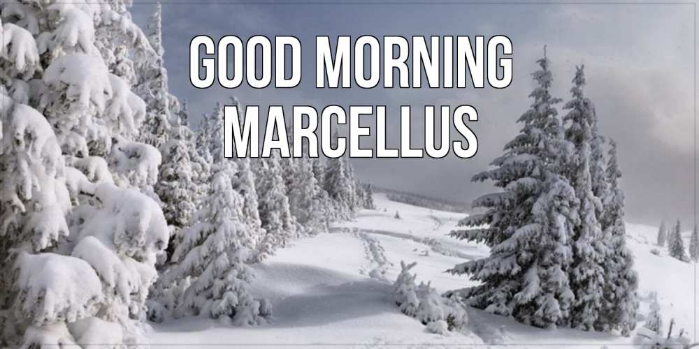 Greetings card с именем, Marcellus Good morning пасмурное утро Greetings with text for free download 