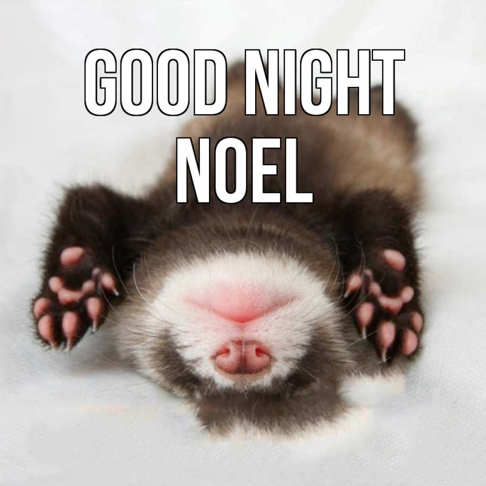 Greetings card с именем, Noel Good night зверек Greetings with text for free download 