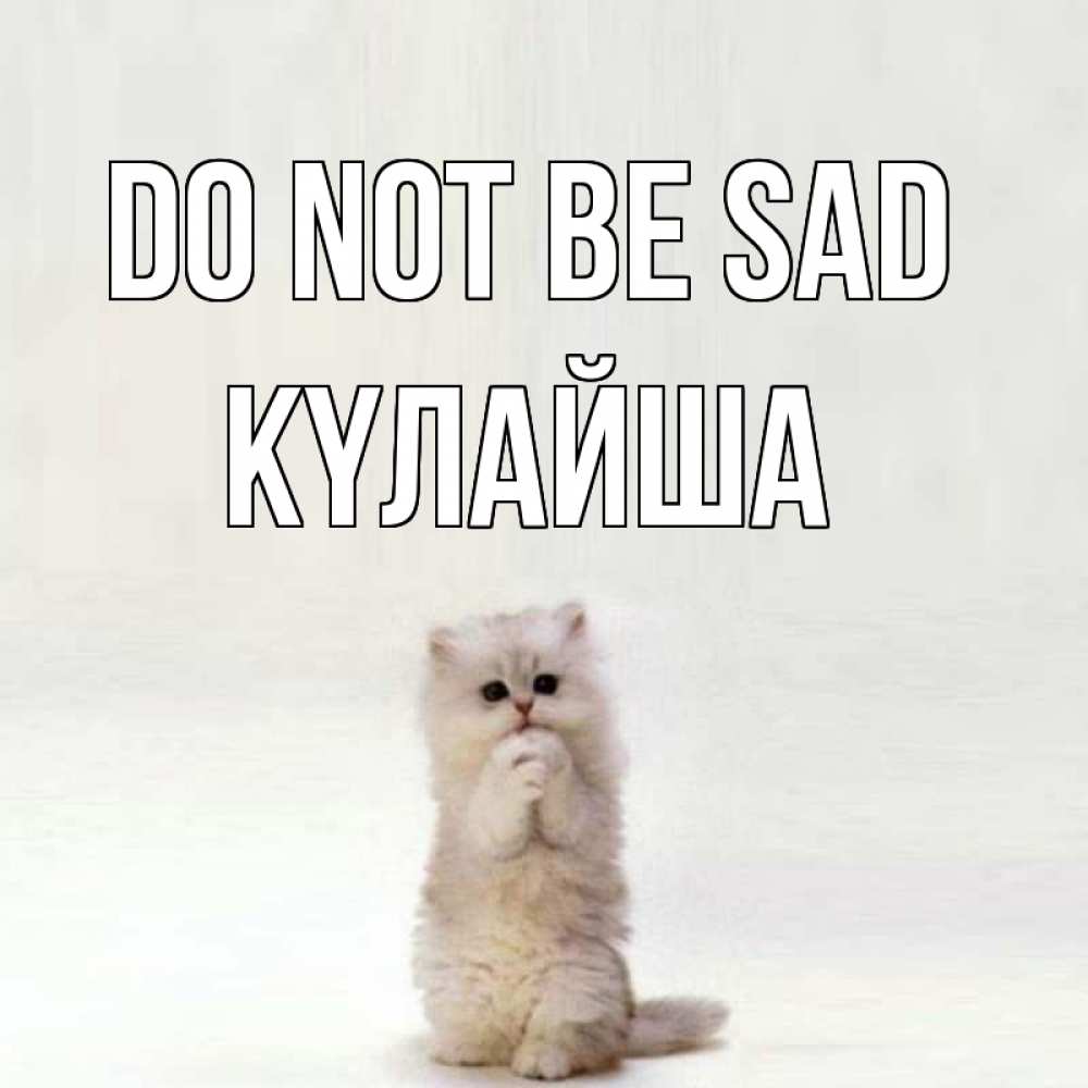 Greetings card с именем, КҮЛАЙША Do not be sad грустный кот Greetings with text for free download 