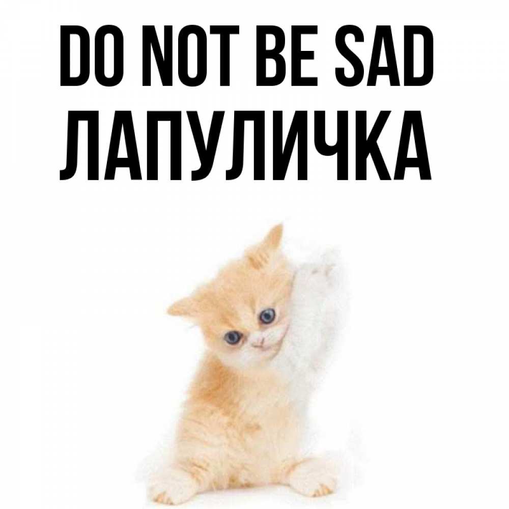 Greetings card с именем, Лапуличка Do not be sad просящий кот Greetings with text for free download 