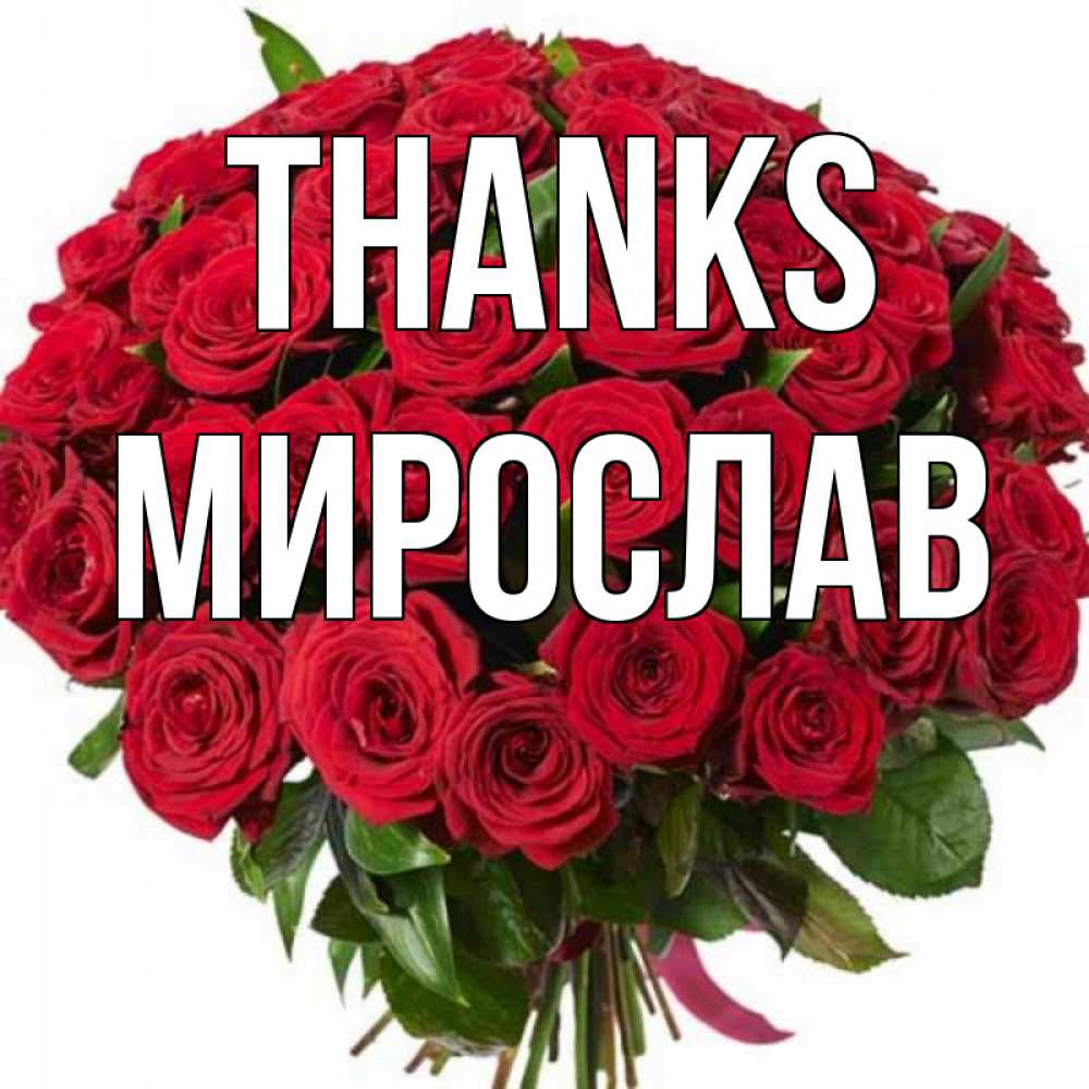 Greetings card с именем, Мирослав Thanks букет красных роз Greetings with text for free download 