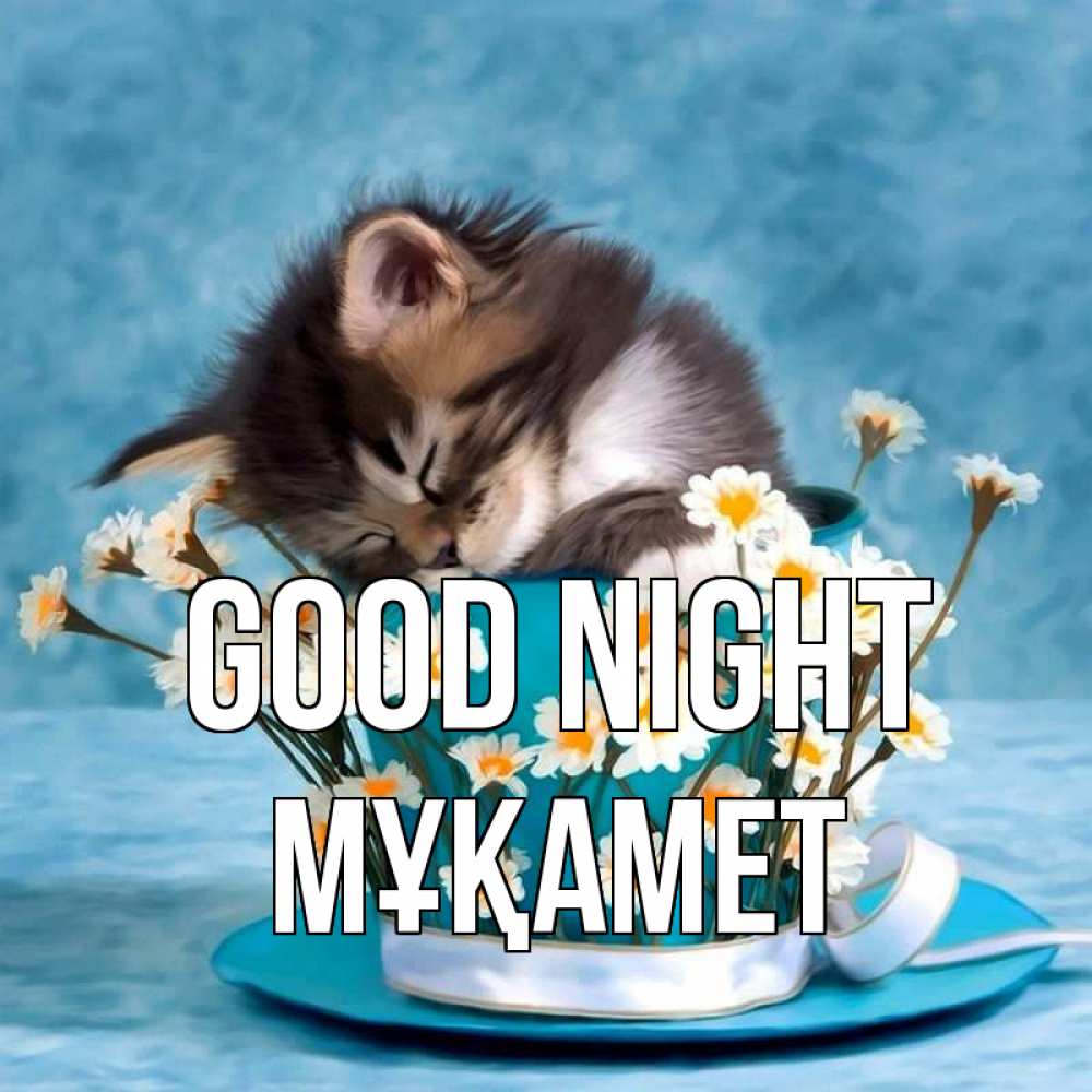 Greetings card с именем, МҰҚАМЕТ Good night котенок спит в кружке с блюдцем Greetings with text for free download 