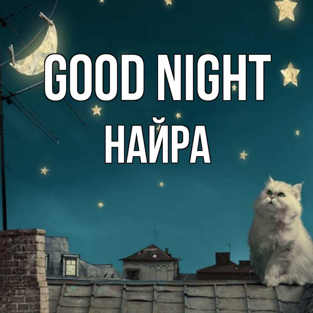 Greetings card с именем, НАЙРА Good night белый кот сидит на крыше Greetings with text for free download 