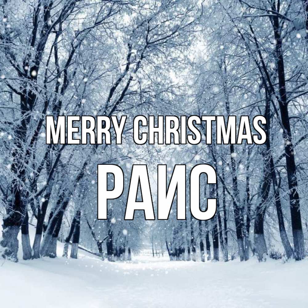 Greetings card с именем, Раис Merry Christmas снег, лес, парк Greetings with text for free download 