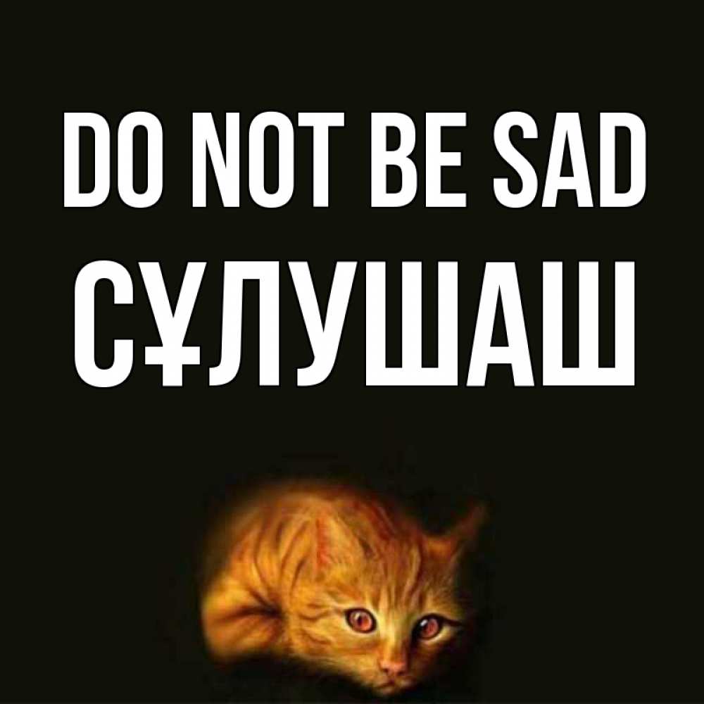 Greetings card с именем, СҰЛУШАШ Do not be sad лежащий кот в темноте Greetings with text for free download 
