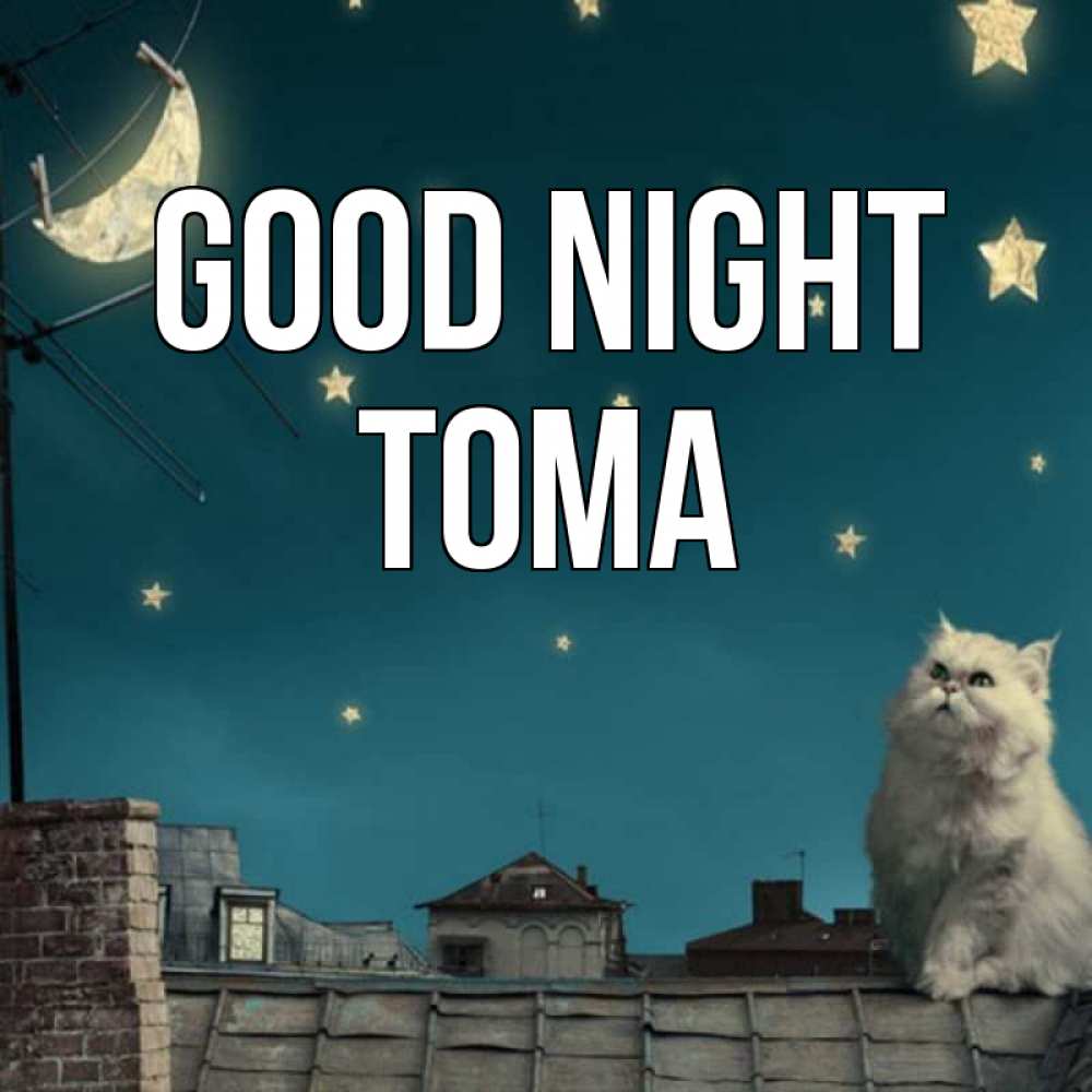 Greetings card с именем, Тома Good night белый кот сидит на крыше Greetings with text for free download 