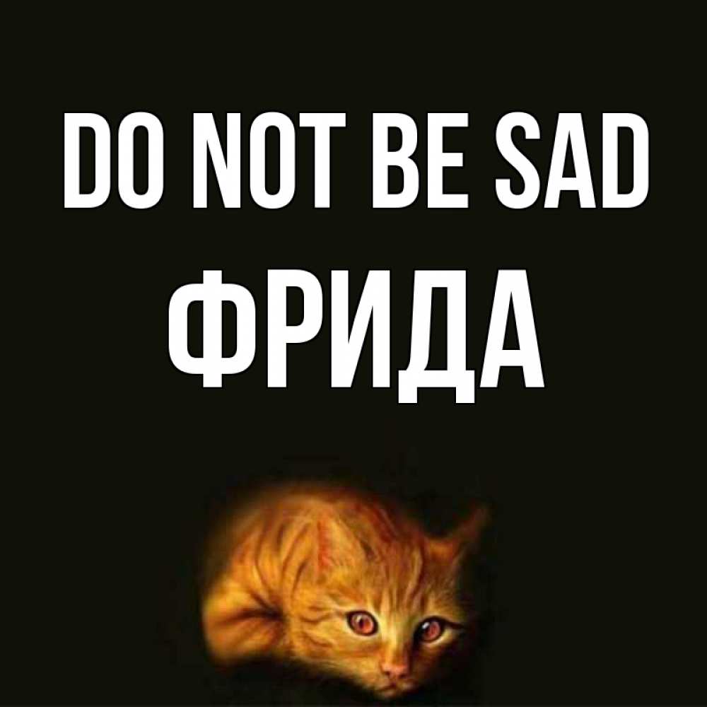 Greetings card с именем, Фрида Do not be sad лежащий кот в темноте Greetings with text for free download 