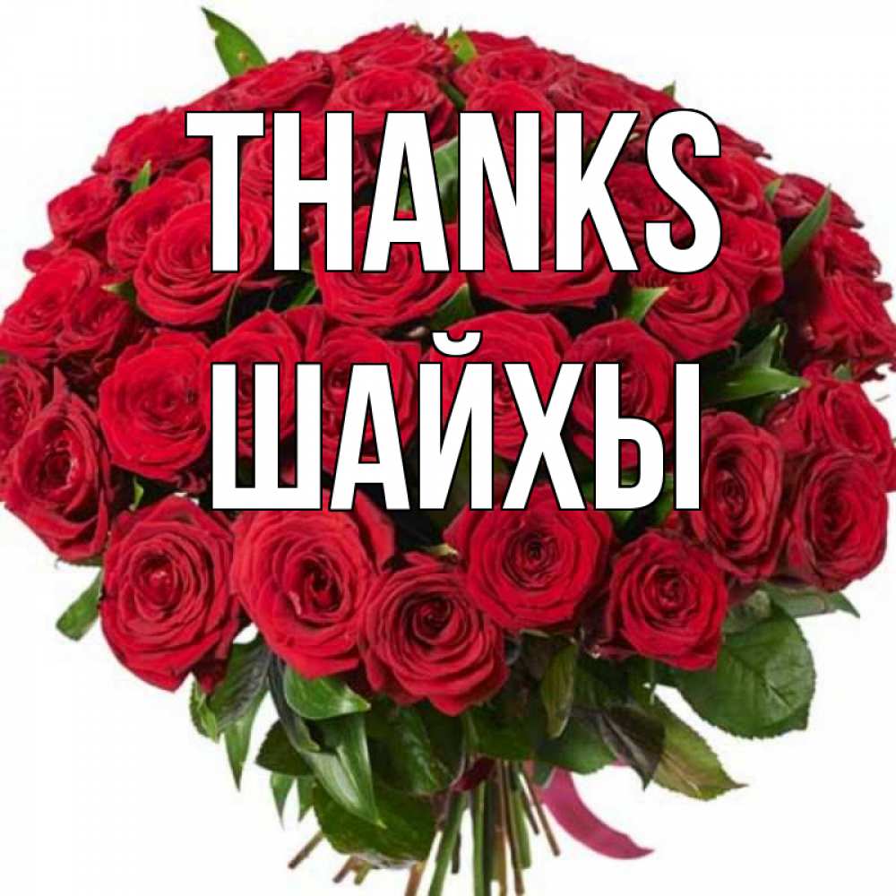 Greetings card с именем, ШАЙХЫ Thanks букет красных роз Greetings with text for free download 