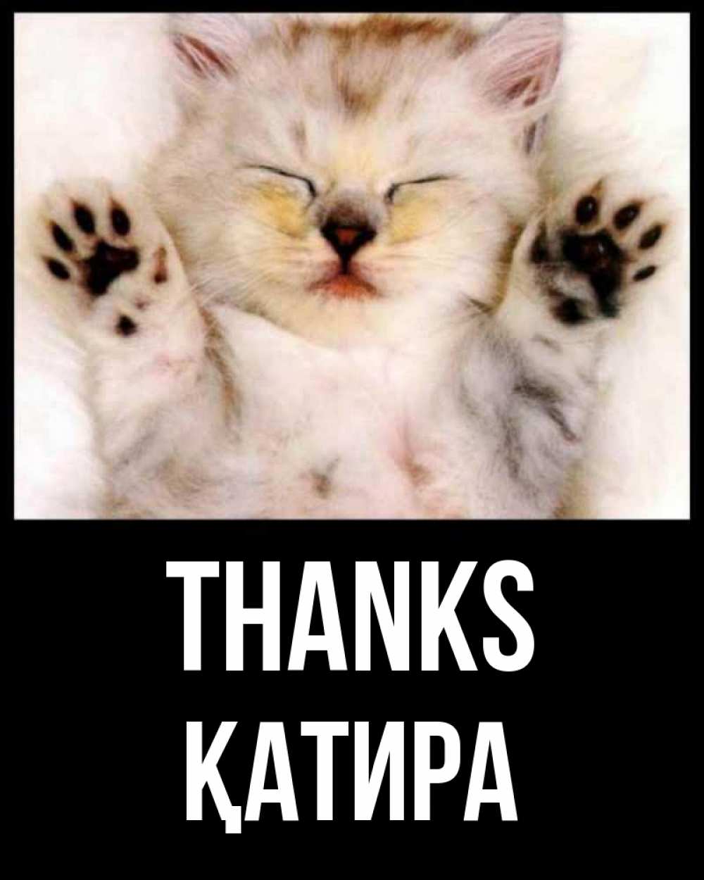 Greetings card с именем, ҚАТИРА Thanks маленький котенок Greetings with text for free download 