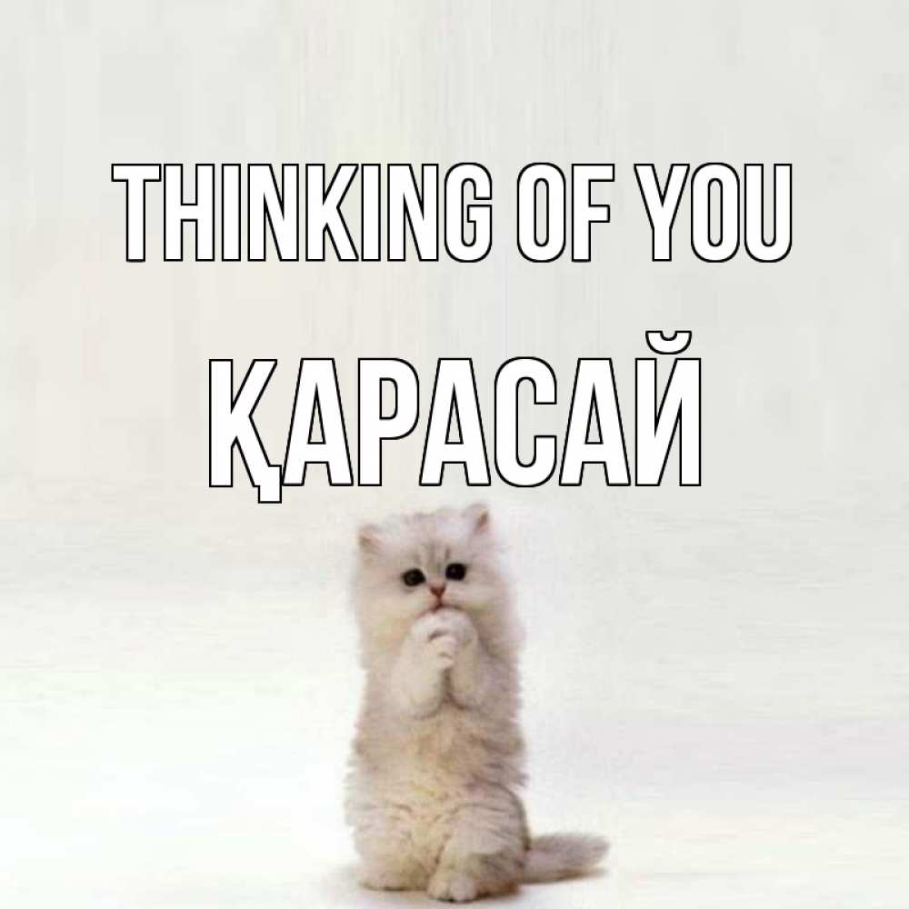 Greetings card с именем, Қарасай Thinking of you кот стоит на задних лапах Greetings with text for free download 
