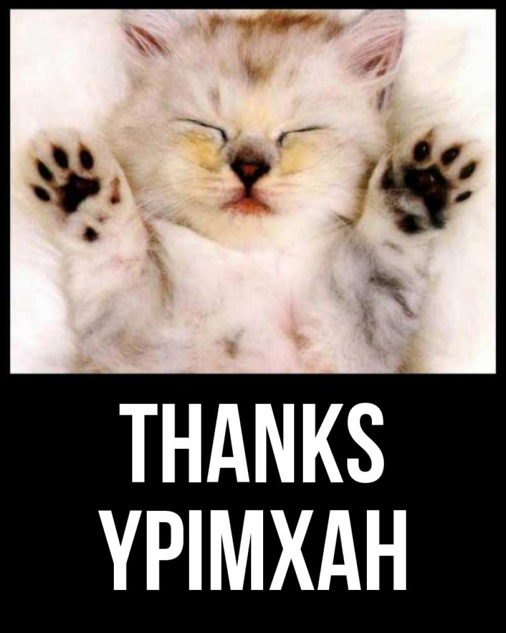 Greetings card с именем, Үрімхан Thanks маленький котенок Greetings with text for free download 