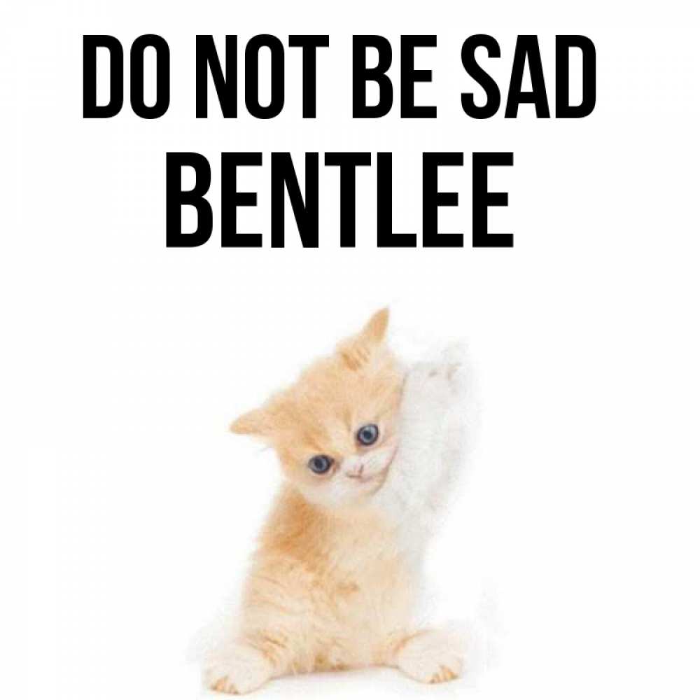Greetings card с именем, Bentlee Do not be sad просящий кот Greetings with text for free download 