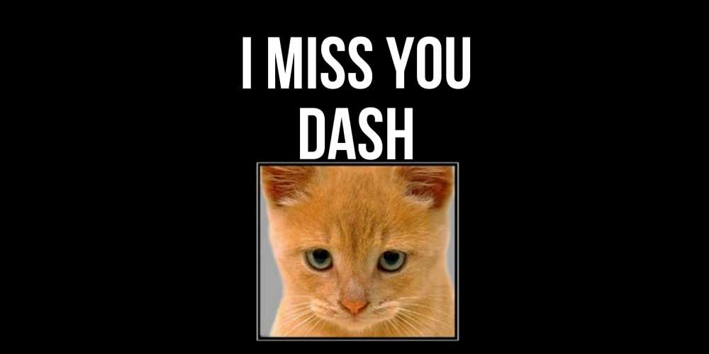 Greetings card с именем, Dash I miss you открытки рыжий котенок скучает по тебе Greetings with text for free download 