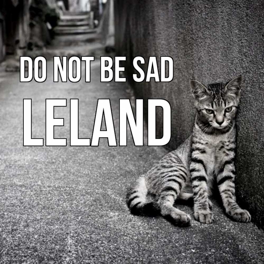 Greetings card с именем, Leland Do not be sad скучающий котик Greetings with text for free download 