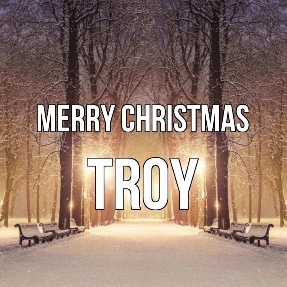 Greetings card с именем, Troy Merry Christmas зима, парк, фонарь, лес Greetings with text for free download 
